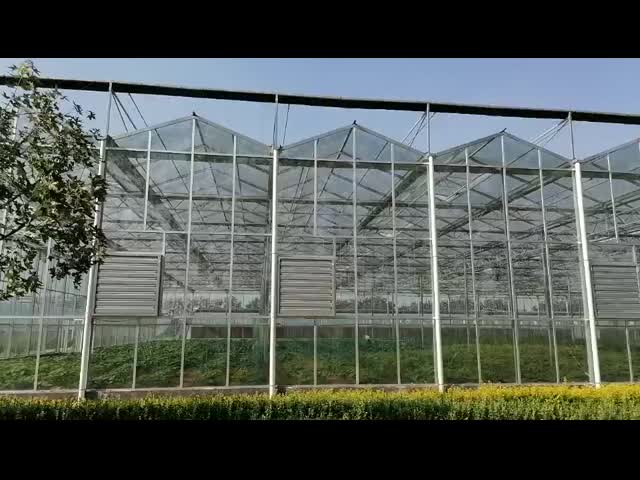 Shouguang Greentime Agriculture Technology Co.,Ltd