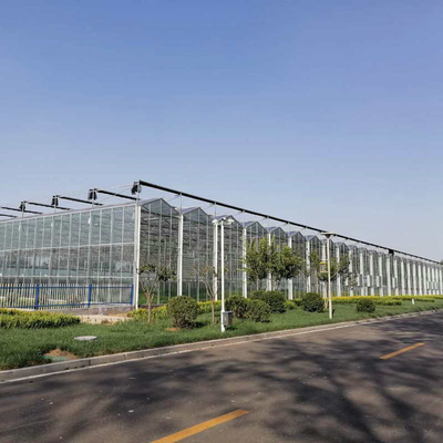 Farm Agriculture Greenhouse Equipments Multi Span Glass Inner Outer Shading System