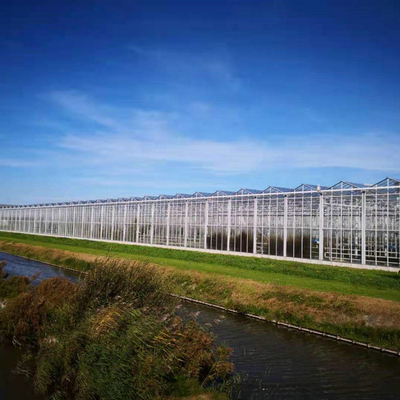 3mm 4mm Tomato Venlo Portable Glass Greenhouse Roof And Side Ventilation Control By Motor
