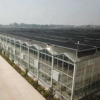 10 X 6 10 X 12 10 X 10 10 X 8 Commercial Glass Greenhouse Galvanized Steel Growing Flower Vegetable