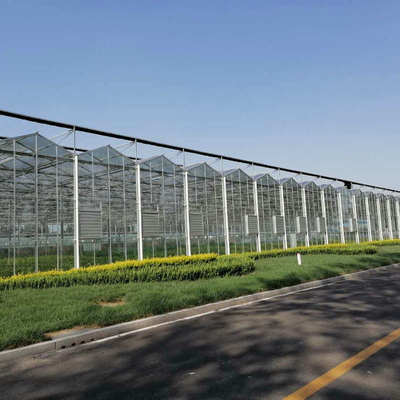 10 X 6 10 X 12 10 X 10 10 X 8 Commercial Glass Greenhouse Galvanized Steel Growing Flower Vegetable