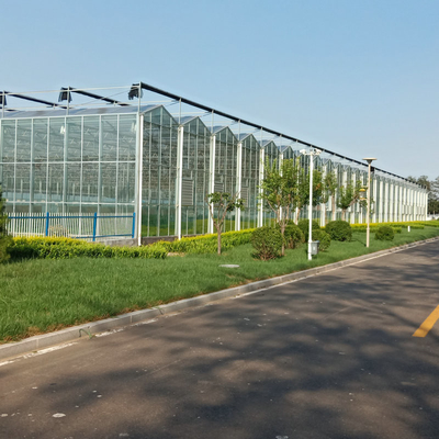 3mm 4mm Tomato Venlo Portable Glass Greenhouse Roof And Side Ventilation Control By Motor