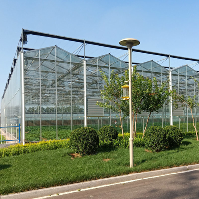 10 X 6 10 X 12 10 X 10 10 X 8 Commercial Glass Greenhouse Galvanized Steel Growing Flower Vegetable