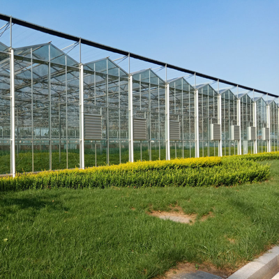 10 X 6 10 X 12 10 X 10 10 X 8 Commercial Glass Greenhouse Galvanized Steel Growing Flower Vegetable