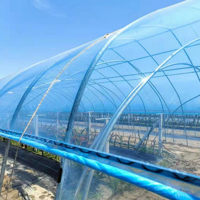 High Quality Clear UV Resistant Greenhouse Film Plastic Agriculture For Strawberry Flower Hydroponic