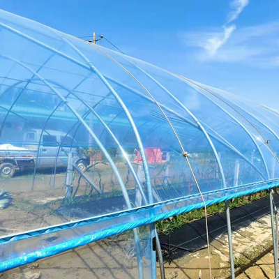 High Quality Clear UV Resistant Greenhouse Film Plastic Agriculture For Strawberry Flower Hydroponic