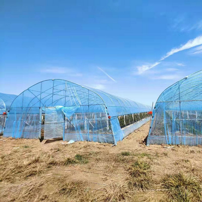 High Quality Clear UV Resistant Greenhouse Film Plastic Agriculture For Strawberry Flower Hydroponic