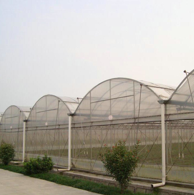 10000m2 Big Span Agriculture Multi Span Greenhouse Plastic Film Green House For Hydroponic Growing