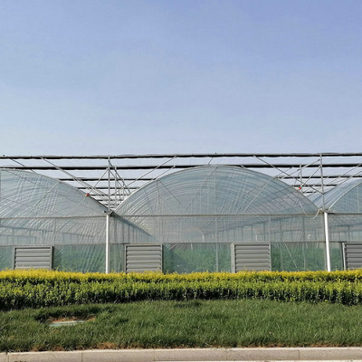 10000m2 Big Span Agriculture Multi Span Greenhouse Plastic Film Green House For Hydroponic Growing