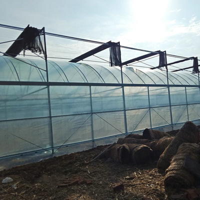 10000m2 Big Span Agriculture Multi Span Greenhouse Plastic Film Green House For Hydroponic Growing