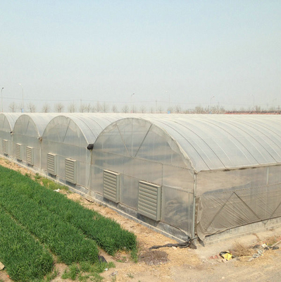 10000m2 Big Span Agriculture Multi Span Greenhouse Plastic Film Green House For Hydroponic Growing