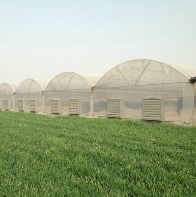 10000m2 Big Span Agriculture Multi Span Greenhouse Plastic Film Green House For Hydroponic Growing