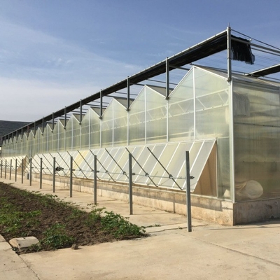 9.6m Span Venlo Pc Sheet Greenhouse Galvanized Steel Framework Green House Used For Agricuture