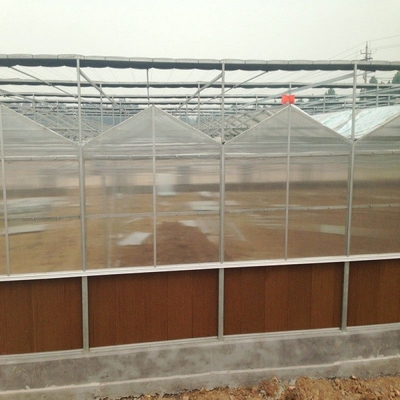 9.6m Span Venlo Pc Sheet Greenhouse Galvanized Steel Framework Green House Used For Agricuture