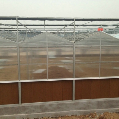 6x12 6x10 6x8 Large Venlo Type Polycarbonate Greenhouse Design With Galvanized Steel Structure
