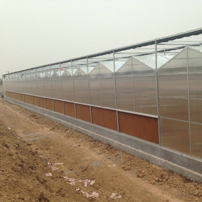 9.6m Span Venlo Pc Sheet Greenhouse Galvanized Steel Framework Green House Used For Agricuture