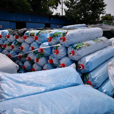 200micron Plastic Film Agriculture For Greenhouse Covering Material