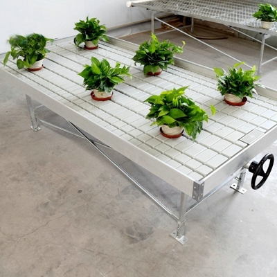 Agriculture Ebb And Flow tables Hydroponic  seedling Grow Rolling Bench seedbed with abs tray