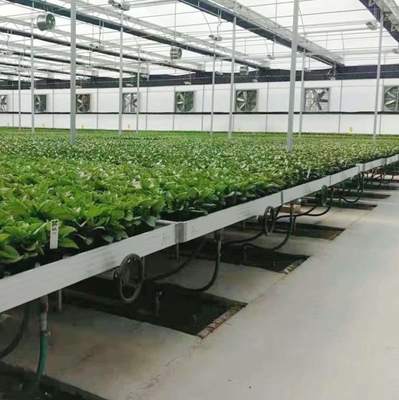 Agriculture Ebb And Flow tables Hydroponic  seedling Grow Rolling Bench seedbed with abs tray
