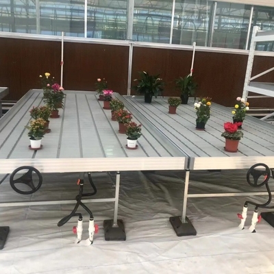 Agriculture Ebb And Flow tables Hydroponic  seedling Grow Rolling Bench seedbed with abs tray