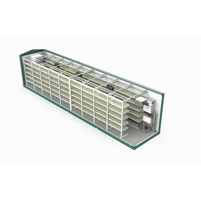 40 Feet Container Farming Plant Factory For Hydroponic Growing Lettuce Leaf Vegetable Growing