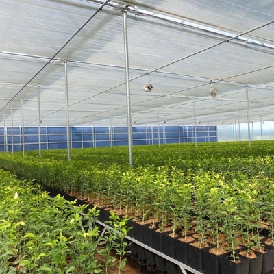 4.3m 55% Shading Rate Aluminum Foil Shade Net Shade Screen  Shadow Cloth For Inner Shading System