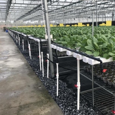 100x50mm Nft Hydroponic Gutter System Rain Pvc Channels Grow System For Lettuce Strawberry