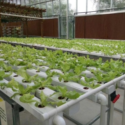 100x50mm Nft Hydroponic Gutter System Rain Pvc Channels Grow System For Lettuce Strawberry