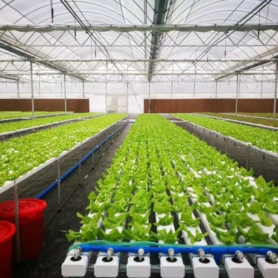 100x50mm Nft Hydroponic Gutter System Rain Pvc Channels Grow System For Lettuce Strawberry