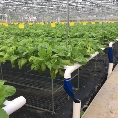 100x50mm Nft Hydroponic Gutter System Rain Pvc Channels Grow System For Lettuce Strawberry
