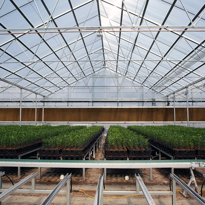30x100ft Single Span Greenhouse Light Deprivation System Blackout Greenhouse For Medical Plants Commercial