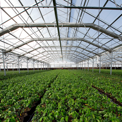 30x100ft Single Span Greenhouse Light Deprivation System Blackout Greenhouse For Medical Plants Commercial