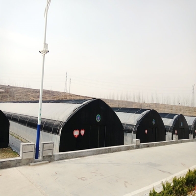 Strong Polytunnel Greenhouse 3m X 2m 9m 10m Growing Mushroom Natural Ventilation Shade Net