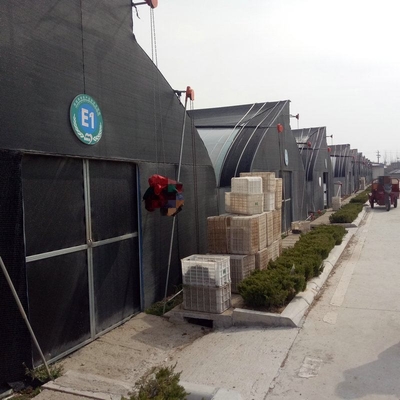 10m double framework mushroom greenhouse with black shade net and shelves outdoor