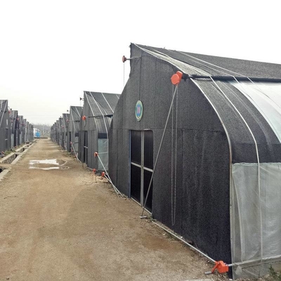 10m double framework mushroom greenhouse with black shade net and shelves outdoor