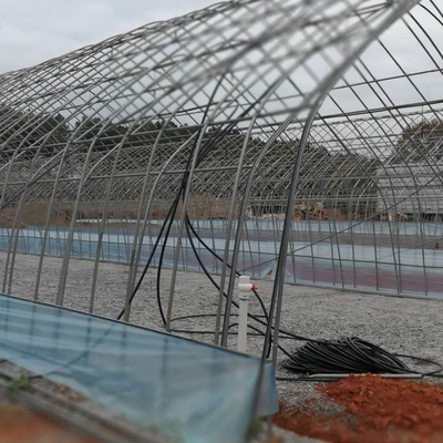 Strong Polytunnel Greenhouse 3m X 2m 9m 10m Growing Mushroom Natural Ventilation Shade Net