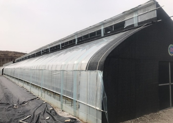 10m double framework mushroom greenhouse with black shade net and shelves outdoor