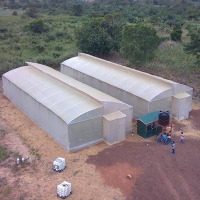 10ft Plastic Film Sawtooth Greenhouse Tunnel Tropical Top Ventilation Tomato Growing