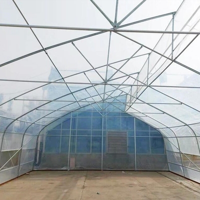 10ft Plastic Film Sawtooth Greenhouse Tunnel Tropical Top Ventilation Tomato Growing