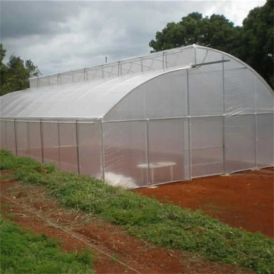 10ft Plastic Film Sawtooth Greenhouse Tunnel Tropical Top Ventilation Tomato Growing