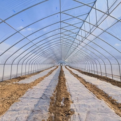 10ft Plastic Film Sawtooth Greenhouse Tunnel Tropical Top Ventilation Tomato Growing