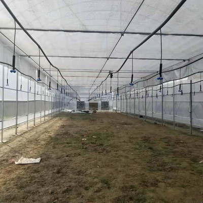 8m Wide Span Tomato Greenhouse Farming Commercial Poly Tunnel With Shading System Spray Irrigation System