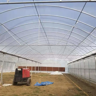 8m Wide Span Tomato Greenhouse Farming Commercial Poly Tunnel With Shading System Spray Irrigation System