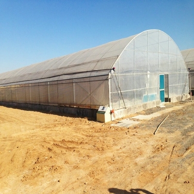 8m Wide Span Tomato Greenhouse Farming Commercial Poly Tunnel With Shading System Spray Irrigation System