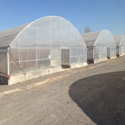 8m Wide Span Tomato Greenhouse Farming Commercial Poly Tunnel With Shading System Spray Irrigation System