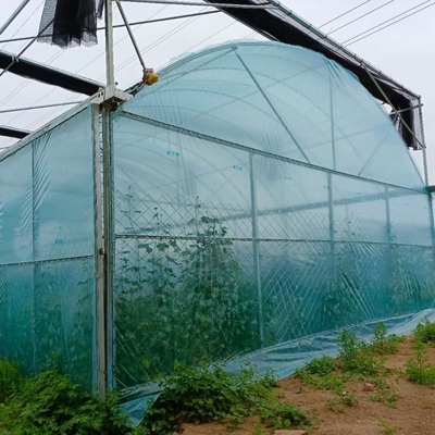 8m Wide Span Tomato Greenhouse Farming Commercial Poly Tunnel With Shading System Spray Irrigation System