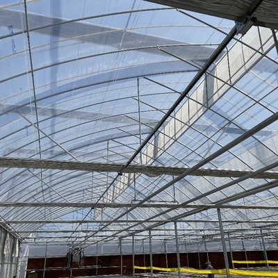Multi Span Agriculture Greenhouse Sawtooth With Cooling System Nursery Seedbed System