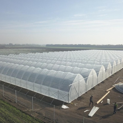 Uv Resistant Polyethylene Berry Hoop Film Greenhouse With Door Keep Warm Growing Strawberry Blueberry