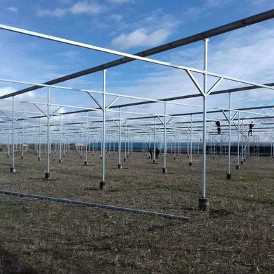 6m 7m 8m 9m Span Clear Plastic Film Greenhouse Vegetable Farming Tomatoes Pepper Lettuce