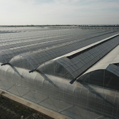 Double Layer Plastic Film Greenhouse With Cooling System Heating System Shading System Grow Tomatoes